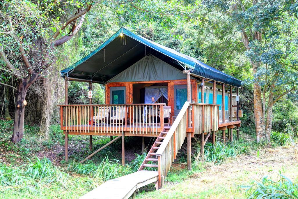 Botlierskop Private Game Reserve Reebok Bilik gambar