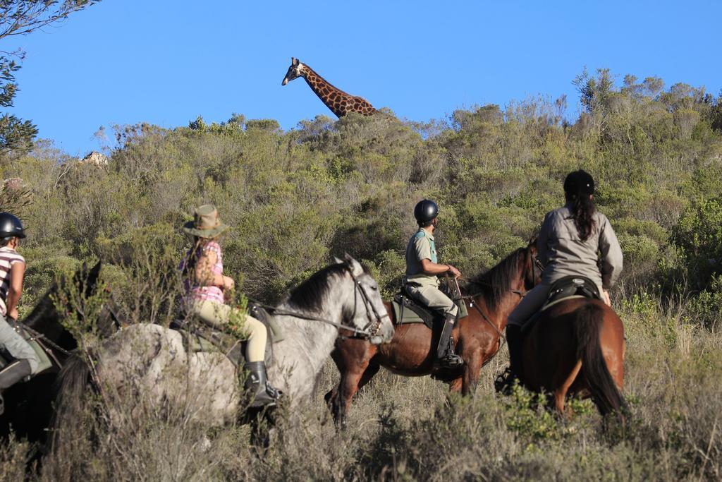 Botlierskop Private Game Reserve Reebok Luaran gambar