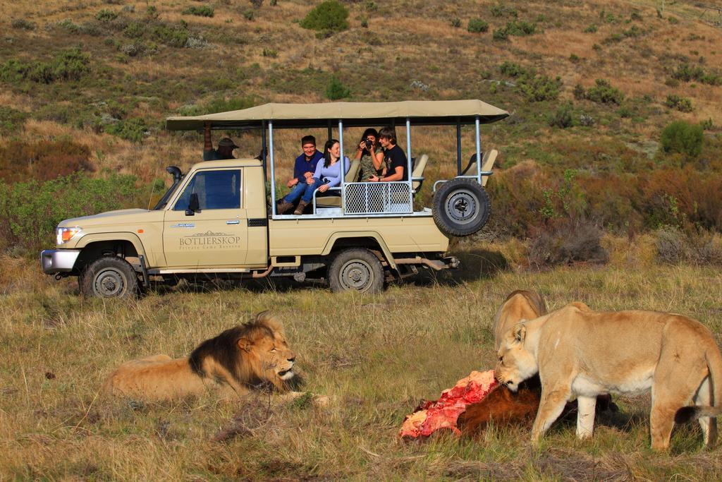 Botlierskop Private Game Reserve Reebok Luaran gambar