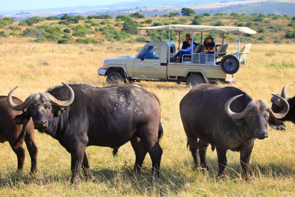 Botlierskop Private Game Reserve Reebok Luaran gambar